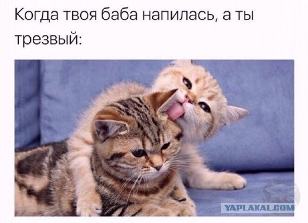 Алкогольный юмор