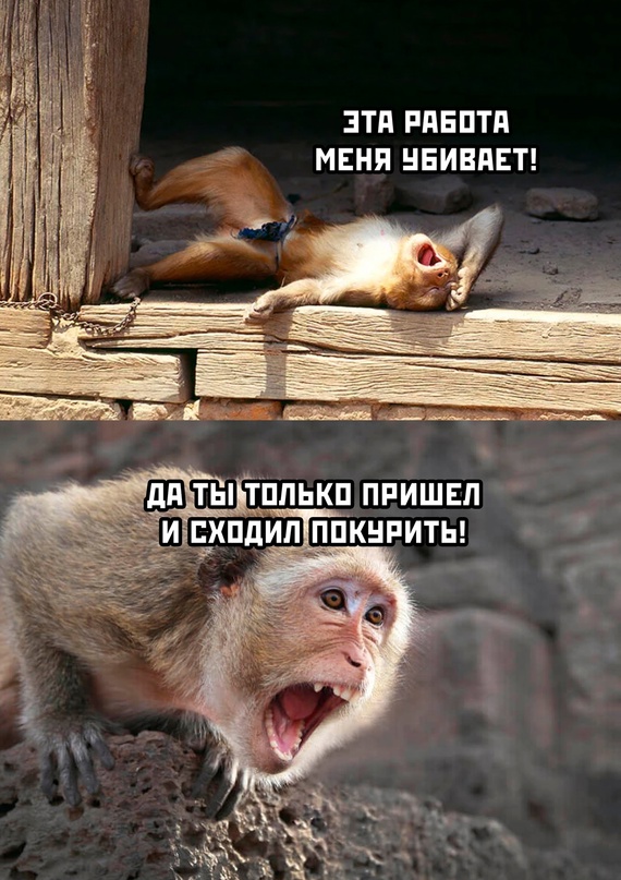 Картинки и мемы для настроения - 119