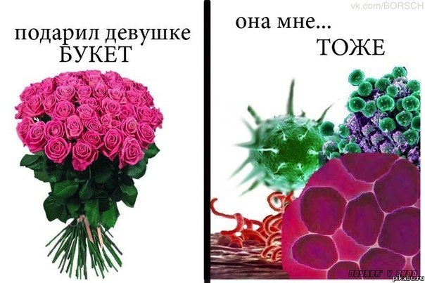 Вот это я понимаю букет