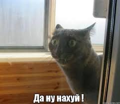 Может уже будет прецедент