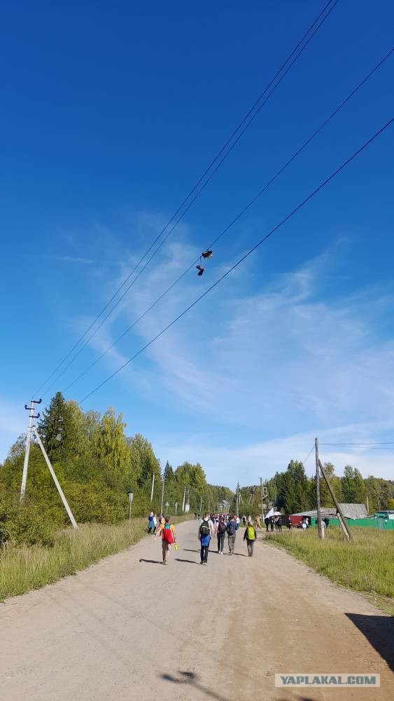 Как я пешком 100 километров ходил