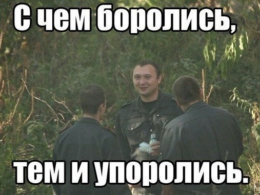 В Ленинградской области электрик случайно нашел схрон более 40 кг наркотиков под опорой ЛЭП и помог полиции при задержании