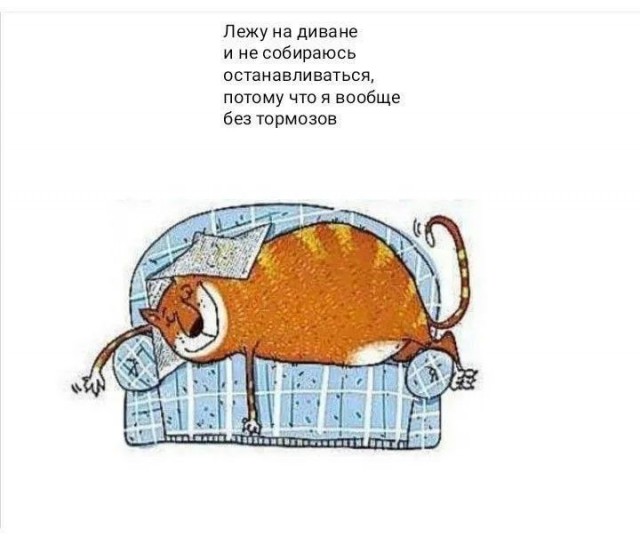 Так себе картинки 29.04.24