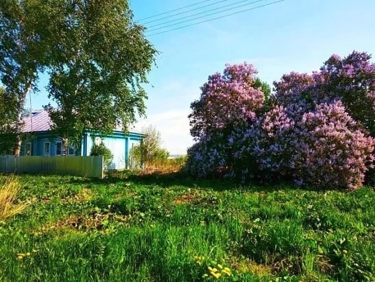 На недельку подальше от всех...