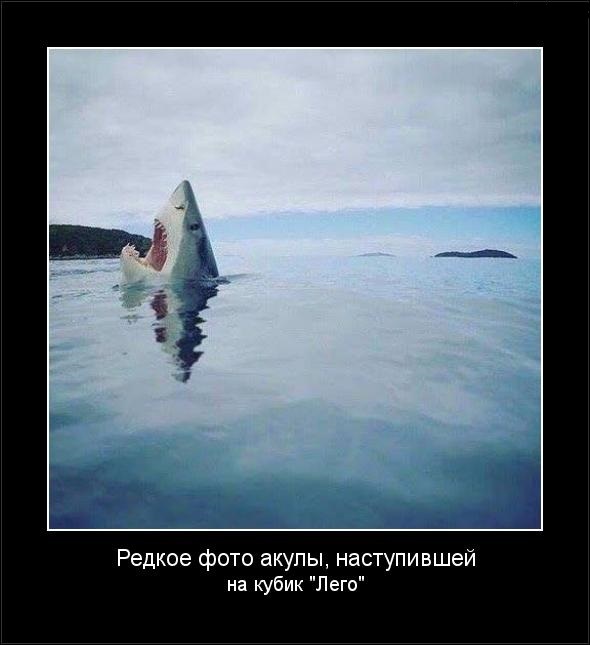Сборник бабаянов или неожиданная помойка