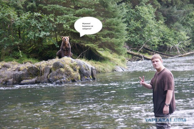 Ему сказали, что медведи не умеют плавать