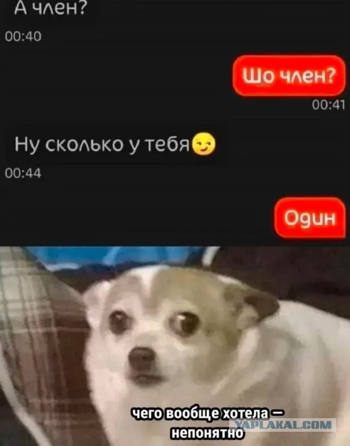 Баяны, очень баяны, но думаю улыбнёт