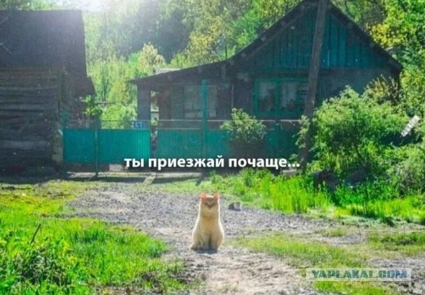И когда-то ты уедешь в последний раз а когда вернешь никого уже не будет.