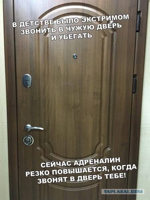 Картинки для деградации 79 (разной степени свежести)