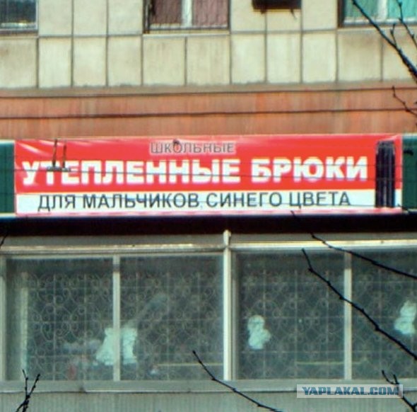 Синих челов вам в ленту на рождество