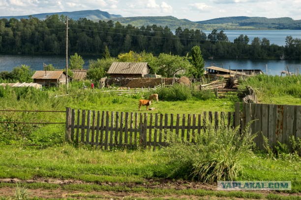 В Москве построят небоскреб Aurus высотой 395 метров