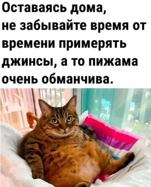 Котямбосы