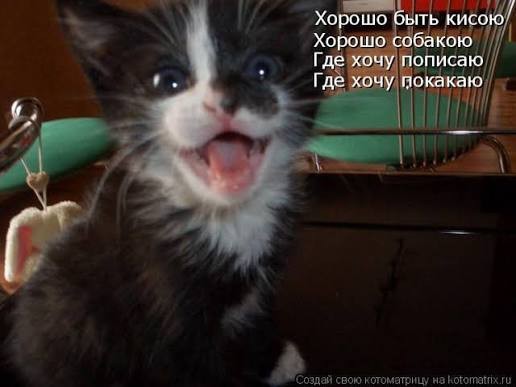 Генерал из Уганды потребовал у Турции миллиард долларов и самую красивую женщину