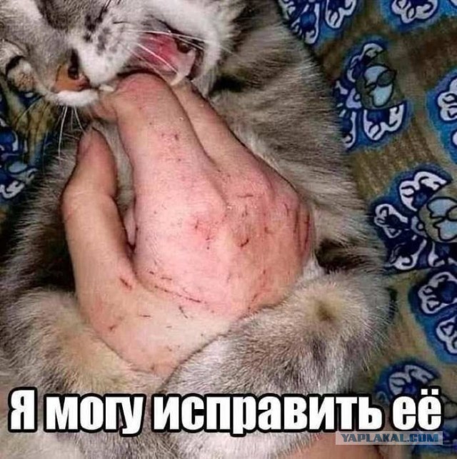 Картинки для деградации 186 (разной степени свежести)