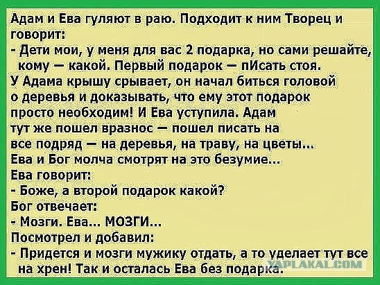 В Беларуси пройдет фестиваль-конкурент Октоберфеста — в Лиде проведут огромный фестиваль пива