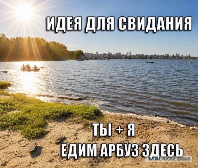 Веселое настроение в картинках 16.08.26