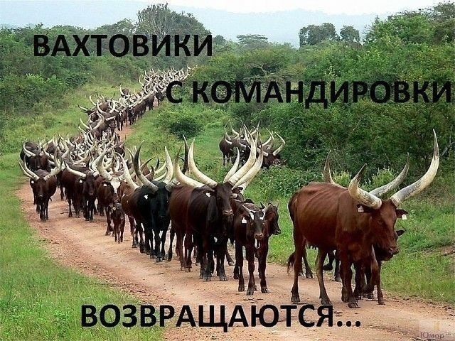 Картинки на среду