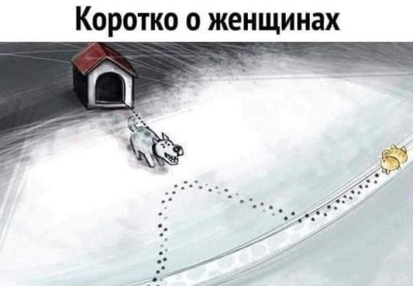 Так себе картинки 03.09.26