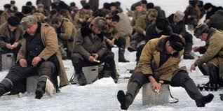 Новые Олимпийские виды спорта