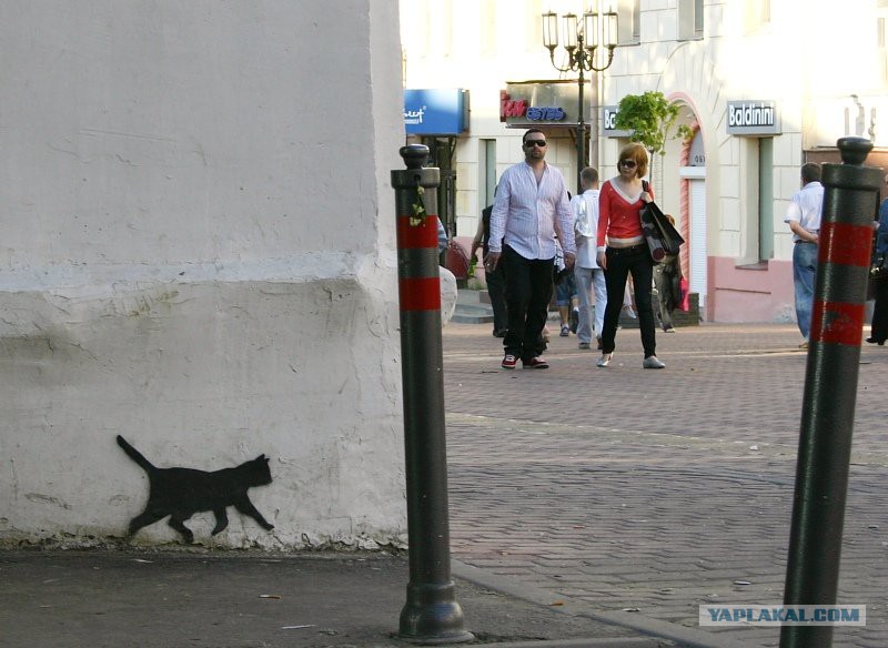 чёрная кошка перебежала дорогу. чёрная кошка перебежала дорогу. черная кошка на дороге. кошка перебежала дорогу примета. кошка перебежала дорогу примета.