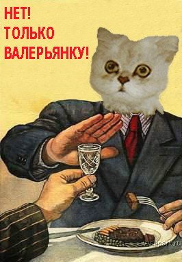 Уголок агитатора и пропагандиста