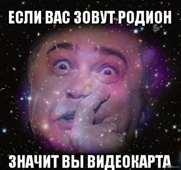 Собака-сепаратяка из Славянска