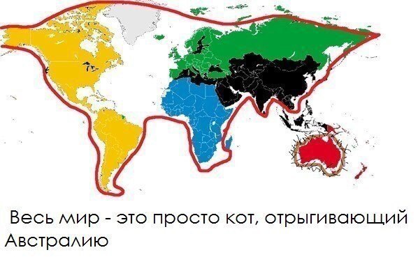 Кот осваивает территорию