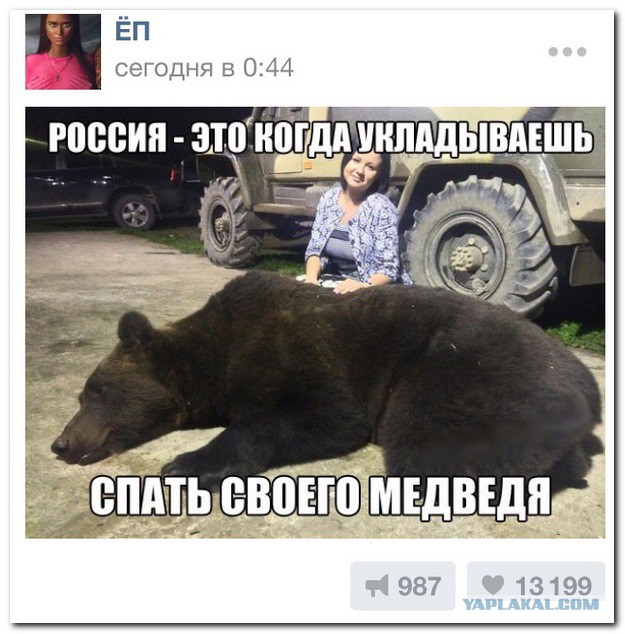 Комментарии из соцсетей, картинки
