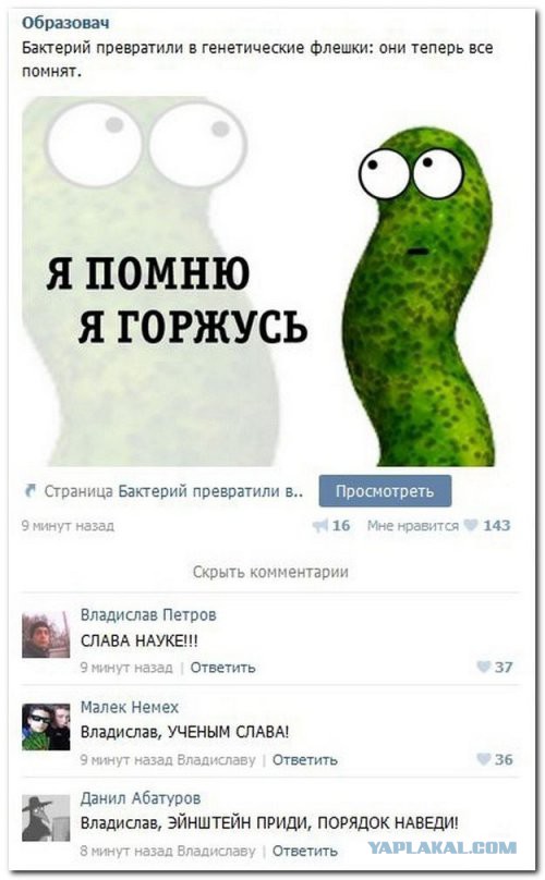 Смешные комментарии из социальных сетей 19.11.14