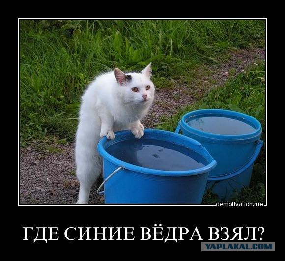 Смешные картинки, приколы, комментарии и прочее...