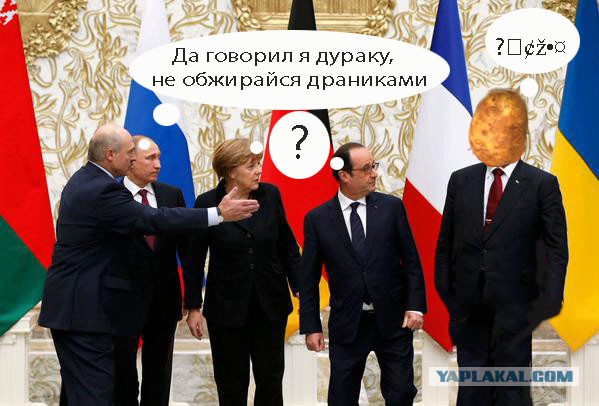 Предлагаю пожабить