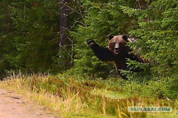 Секс в общественных местах