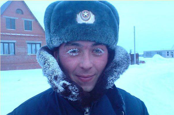 Весёлые картинки