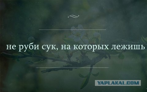Просто картинки