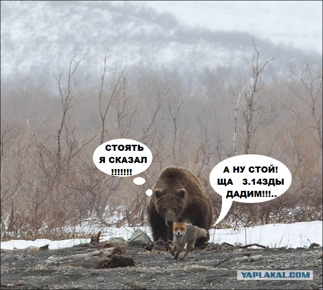 Бег - жизнь !