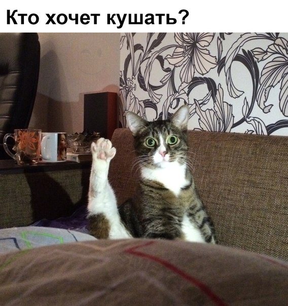 Картинки и демотиваторы