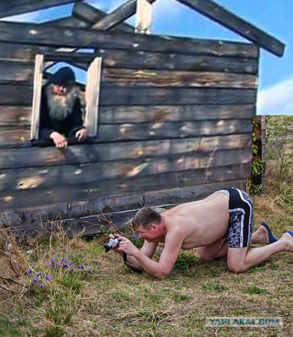 Жаба: Фотолюбитель