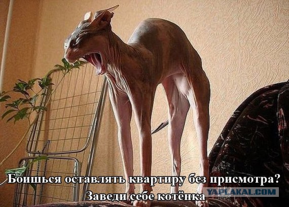 Кожаное зло