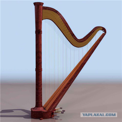 Ноги у арфы!