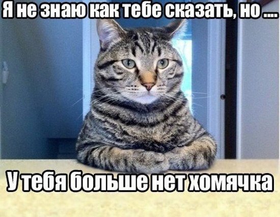 Злые шутки или минутка сарказма на ЯП-е, 16+