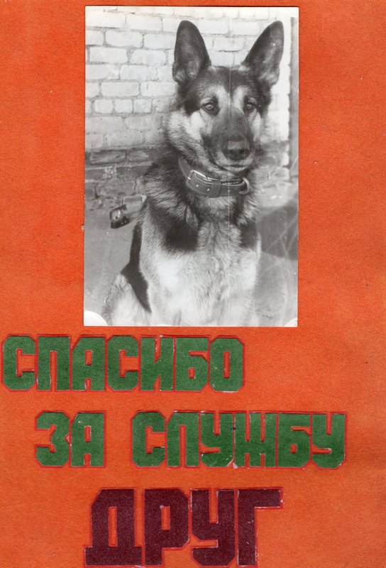 Дембельский альбом на ЯПе