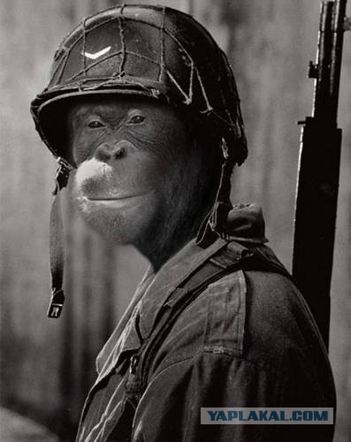 Как принимали ЛГБТ фестиваль во Львове