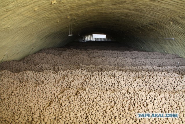 Польша собирается аннексировать Беларусь