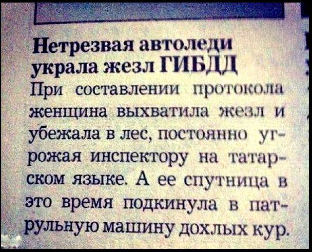 Подборка интересных и веселых картинок