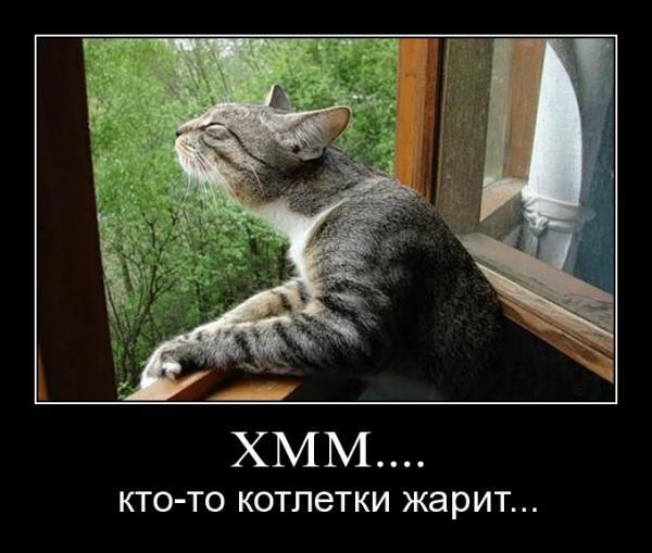 Котлета