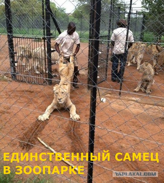 Подборка интересных и смешных картинок