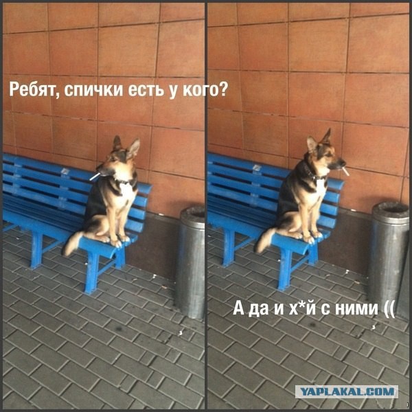Юмор не для всех