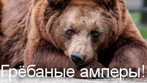 Топтыгин и приманка