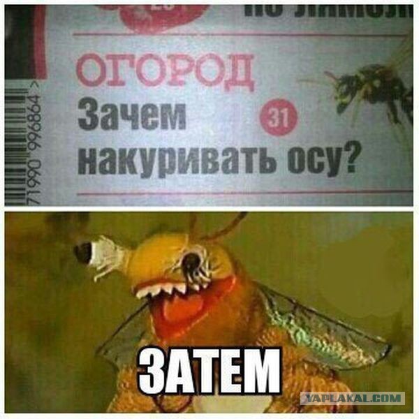 Картинки всякие