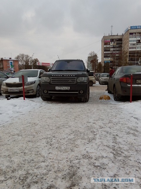 Жизнь как она есть 2